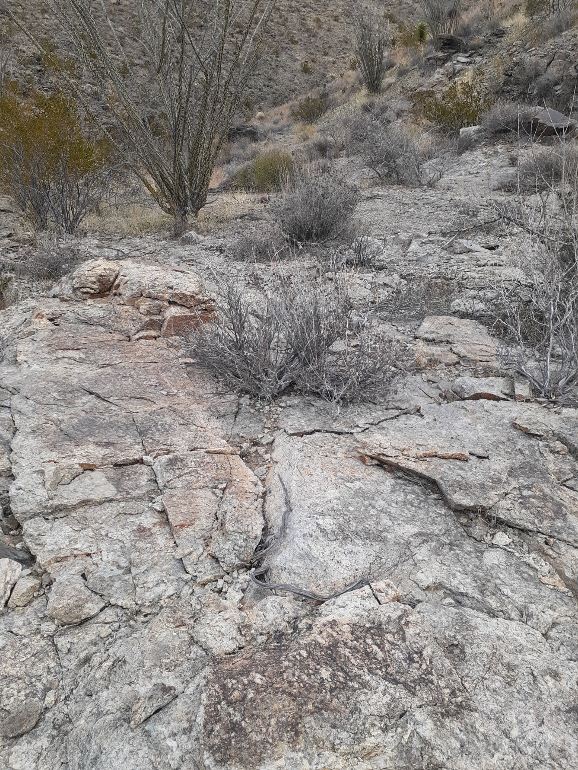 Real user photo of exposed bedrock
